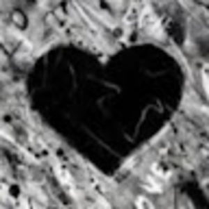 Meet your Posher, Beau